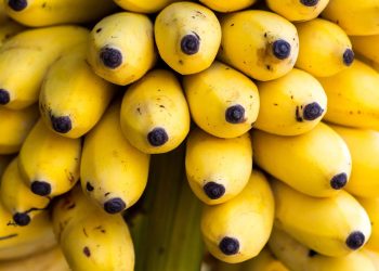 Como manter bananas amarelinhas por muito mais tempo