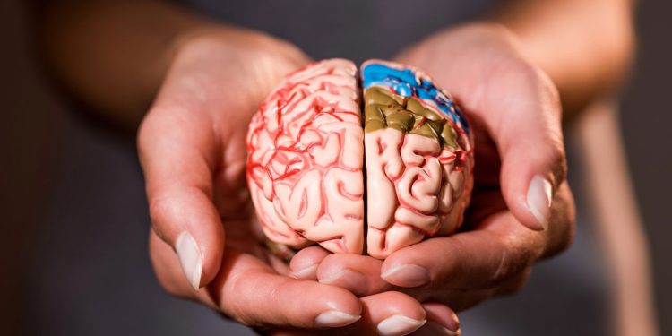 Dicas para uma boa saúde cerebral - Créditos: depositphotos.com / KostyaKlimenko