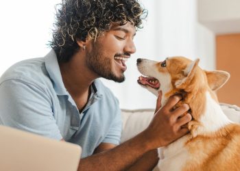 Especialistas revelam o que acontece quando você encara seu cachorro
