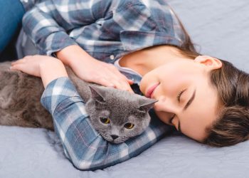 Motivos para dividir a cama seu animal de estimação