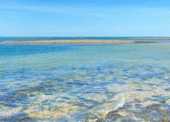 Praia da Salina revela beleza rara e tranquilidade o ano todo