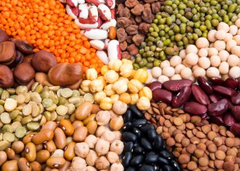 As melhores fontes de ferro para quem segue dieta vegana