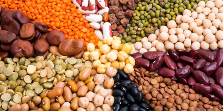 Alimentos ricos em ferro - Créditos: depositphotos.com / ksena32