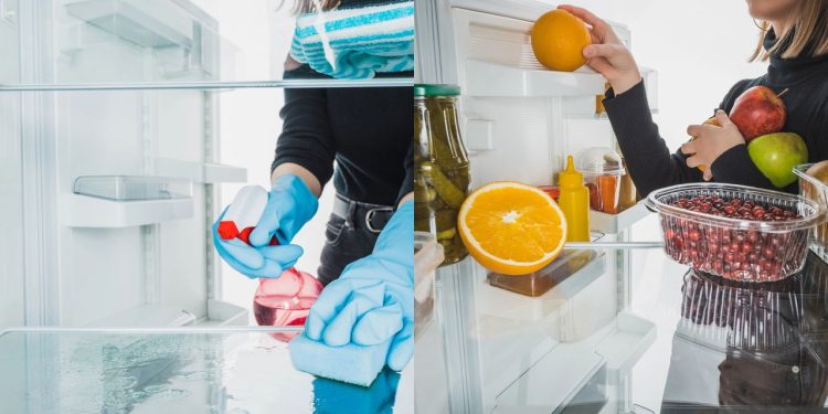 Dicas de como prologar a vida útil da geladeira - Créditos: depositphotos.com / VadimVasenin - Créditos: depositphotos.com / VadimVasenin