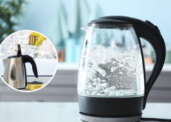 Esse ingrediente simples pode salvar sua chaleira elétrica