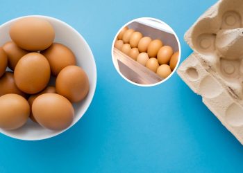 A melhor maneira de conservar ovos e evitar contaminações