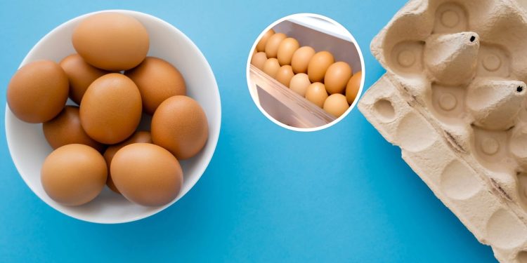 Dicas de como armazenar ovos - Créditos: depositphotos.com / IgorVetushko  -  Créditos: depositphotos.com / prompirak
