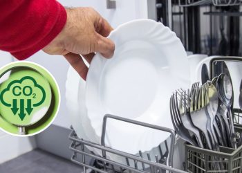 Extremófilos escondidos em casa podem ajudar a salvar o planeta