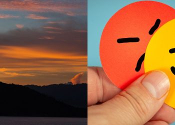 O que realmente acontece com nossas emoções ao longo do dia