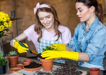 O que plantar no outono para colher na primavera