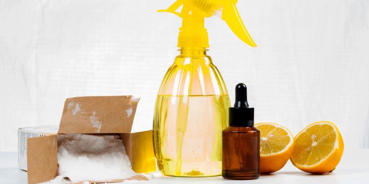 Dicas de produtos naturais para a limpeza da casa - Créditos: depositphotos.com / artursfoto1