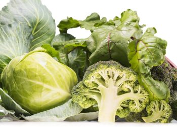 Como os vegetais antioxidantes podem reduzir riscos de doenças