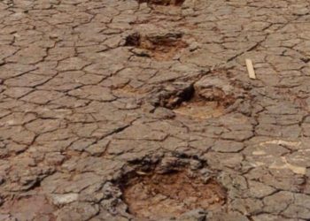 Esse lugar no Brasil guarda pegadas de dinossauros com 143 milhões de anos