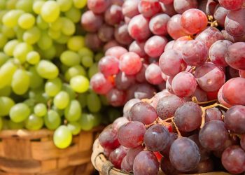 Pesquisas sugerem que essa fruta que você pode plantar em casa ajuda na saúde cardiovascular, colabora para funções cognitivas e ainda protege contra o estresse oxidativo