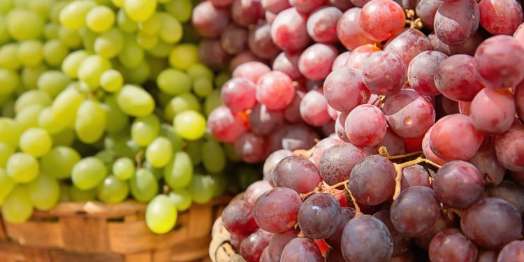 Pesquisas sugerem que essa fruta que você pode plantar em casa ajuda na saúde cardiovascular, colabora para funções cognitivas e ainda protege contra o estresse oxidativo