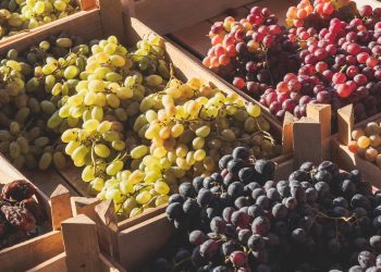 A verdadeira diferença entre uvas roxas, vermelhas e verdes (não é apenas a cor)