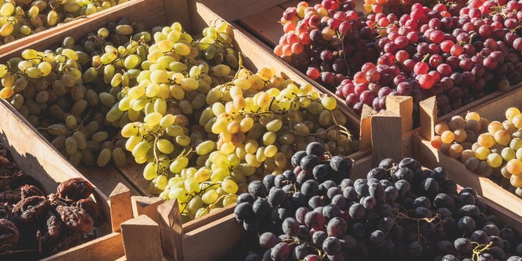 A verdadeira diferença entre uvas roxas, vermelhas e verdes (não é apenas a cor)