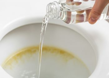 O truque caseiro para remover eficazmente o calcário do vaso sanitário e as manchas amarelas