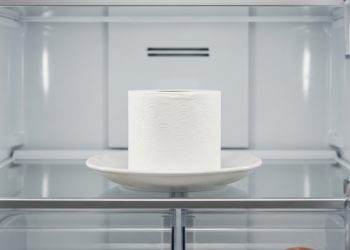Por que tantas pessoas estão colocando papel higiênico dentro da geladeira