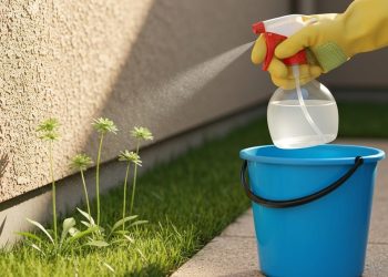 Por que jardineiros recomendam borrifar vinagre em pátios e caminhos até novembro