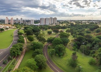 A cidade mais arborizada do Brasil, onde a qualidade de vida anda de mãos dadas com as ruas cheias de árvores
