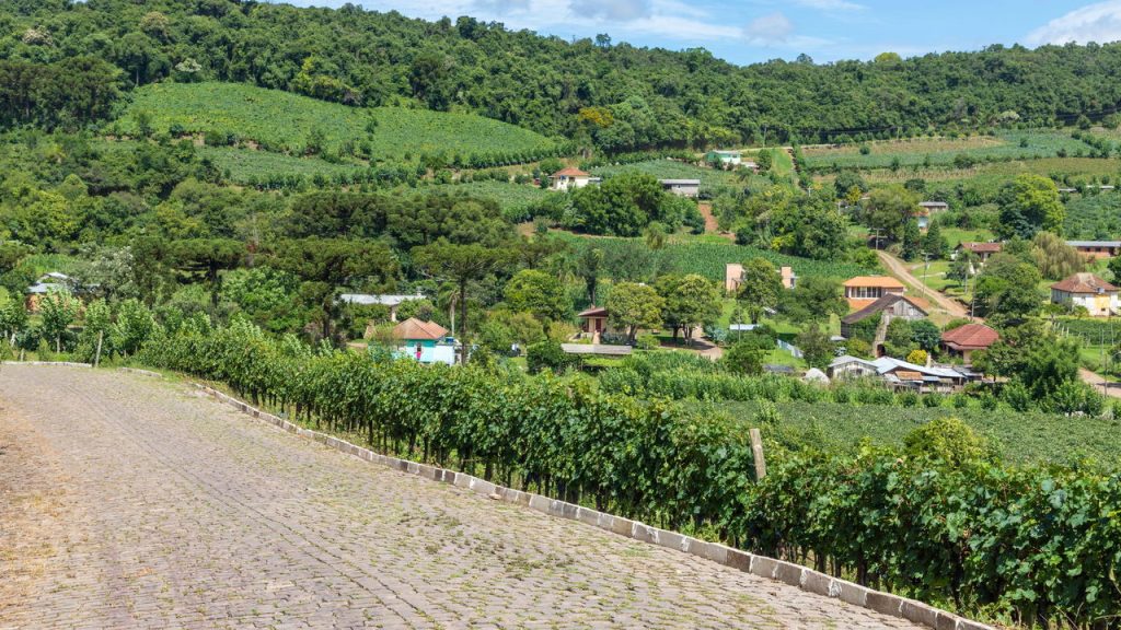 Essa cidade gaúcha encanta com vinhos, cultura e tradições únicas