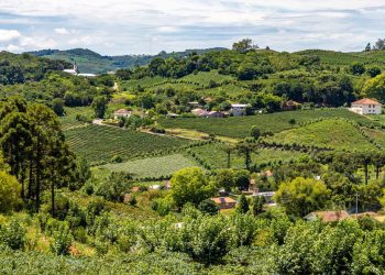 Essa cidade gaúcha encanta com vinhos, cultura e tradições únicas