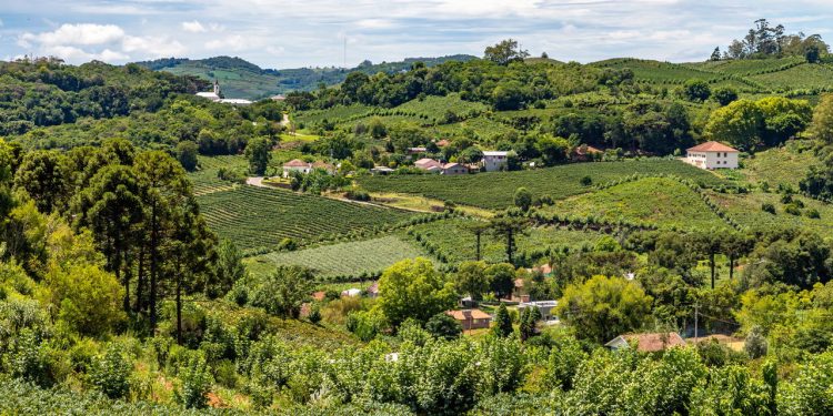 Essa cidade gaúcha encanta com vinhos, cultura e tradições únicas