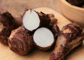 As verduras que sumiram da mesa do brasileiro e podem ser plantadas no quintal