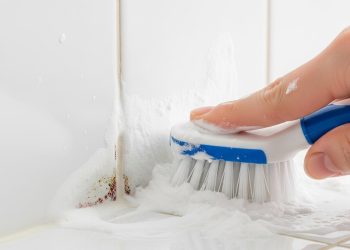 Esse truque caseiro simples está ajudando famílias a eliminar o mofo do banheiro de forma eficaz, barata e sem precisar recorrer a produtos químicos agressivos