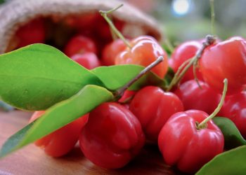 Quem cultiva acerola no quintal garante saúde e disposição todos os dias