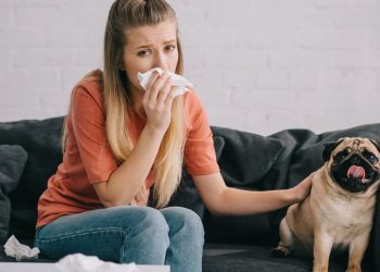 Como conviver com pets mesmo tendo alergia no dia a dia