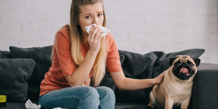 Como conviver com pets mesmo tendo alergia no dia a dia