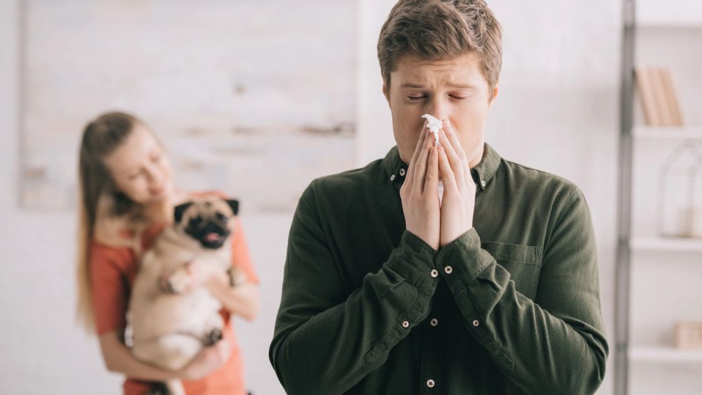 Como conviver com pets mesmo tendo alergia no dia a dia