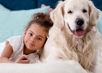 As raças de cães mais indicadas para conviver com crianças pequenas