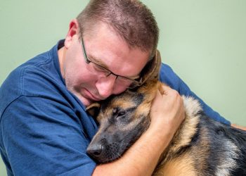 O gesto dos pets que emociona tutores em momentos difíceis