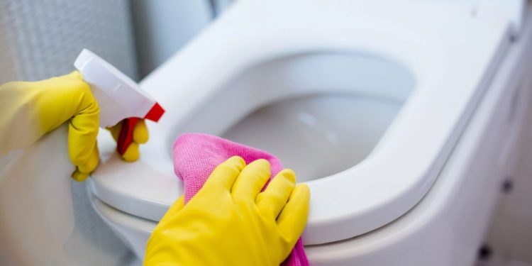 Cheiro ruim na privada? Veja o que elimina o odor de forma natural