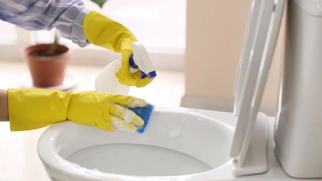 Cheiro ruim na privada? Veja o que elimina o odor de forma natural