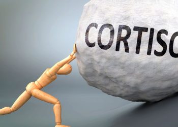 Benefícios do coquetel de cortisol que você precisa experimentar