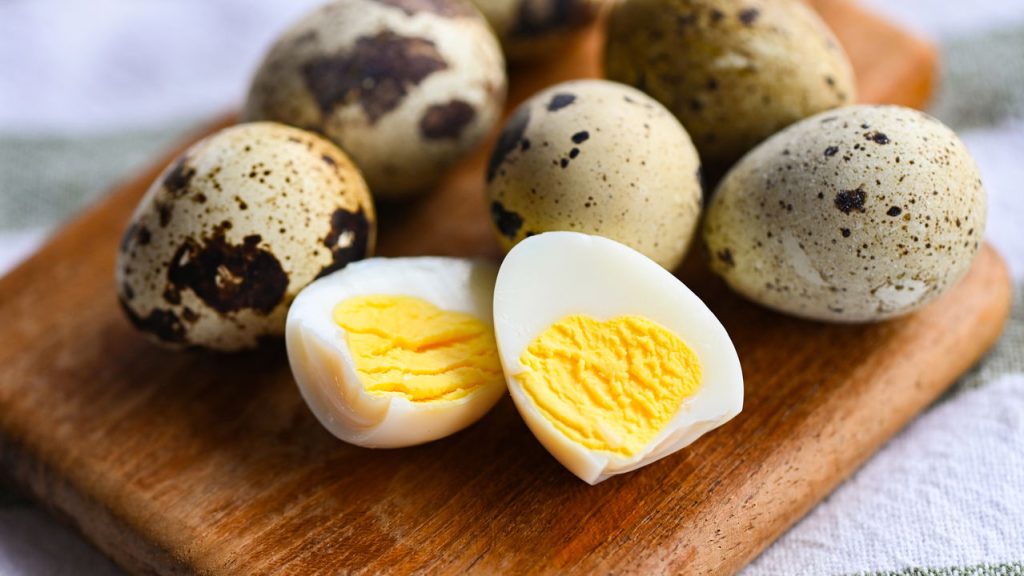 ovos de codorna 