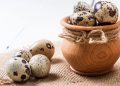 Como descascar ovos de codorna e incluir na dieta