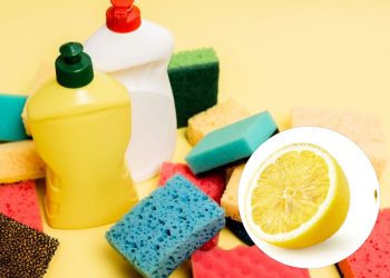 Segredo do limão com detergente garante casa impecável