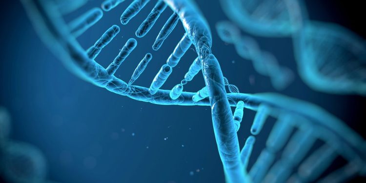 Qual é a probabilidade de alguém nascer com o DNA idêntico ao seu?