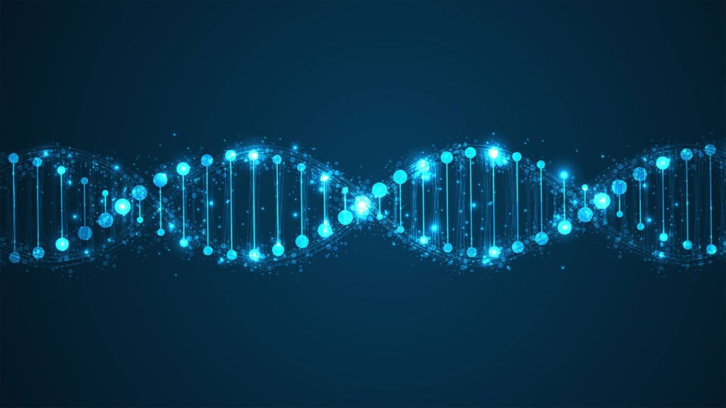 Qual é a probabilidade de alguém nascer com o DNA idêntico ao seu?
