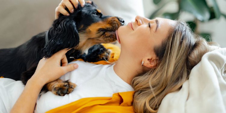 Melhore a comunicação com seu cachorro e fortaleça o vínculo diário