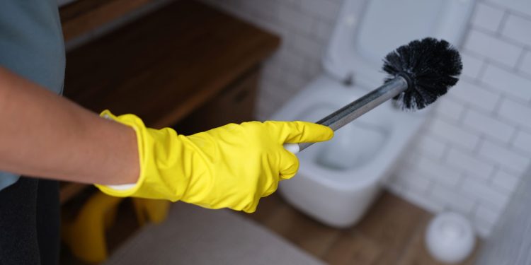 A forma certa de cuidar da escova sanitária e proteger sua saúde