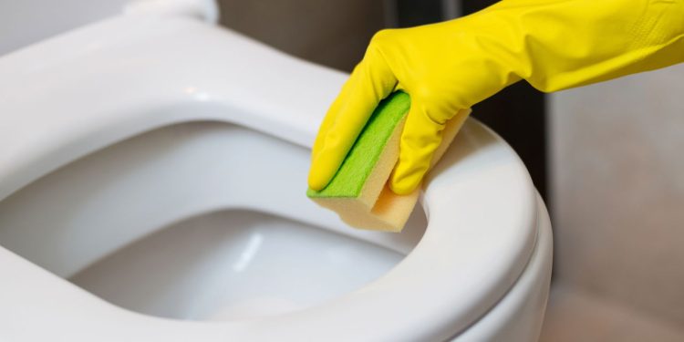 Dicas de como limpar o vaso sanitário - Créditos: depositphotos.com / djedzura