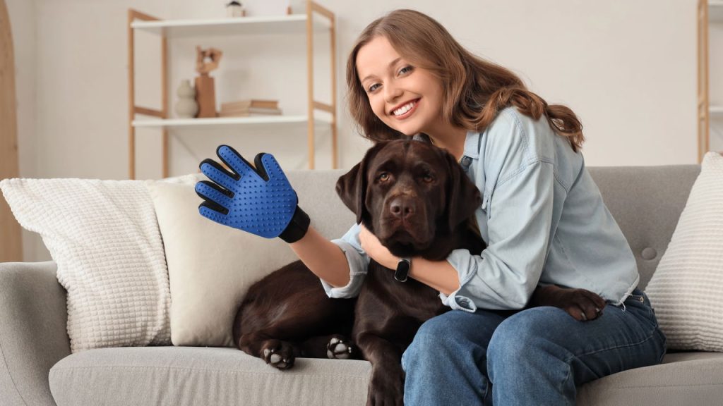 Como eliminar pelos de pets em segundos com truques caseiros poderosos