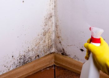 Soluções caseiras poderosas para eliminar mofo de vez