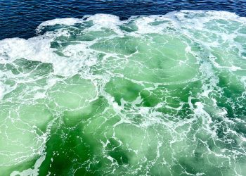 Por que os oceanos estão ficando mais verdes?